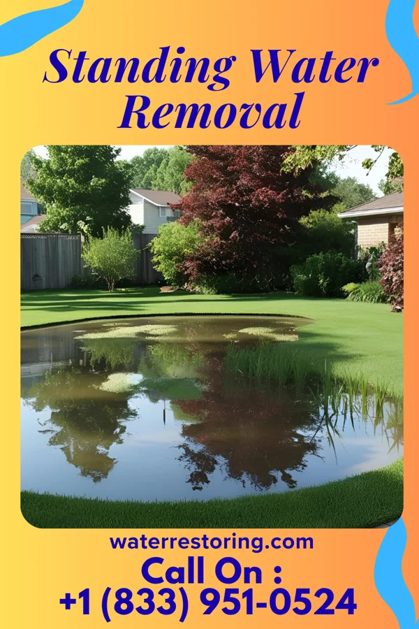 Standing Water Removal in Hustonville, KY